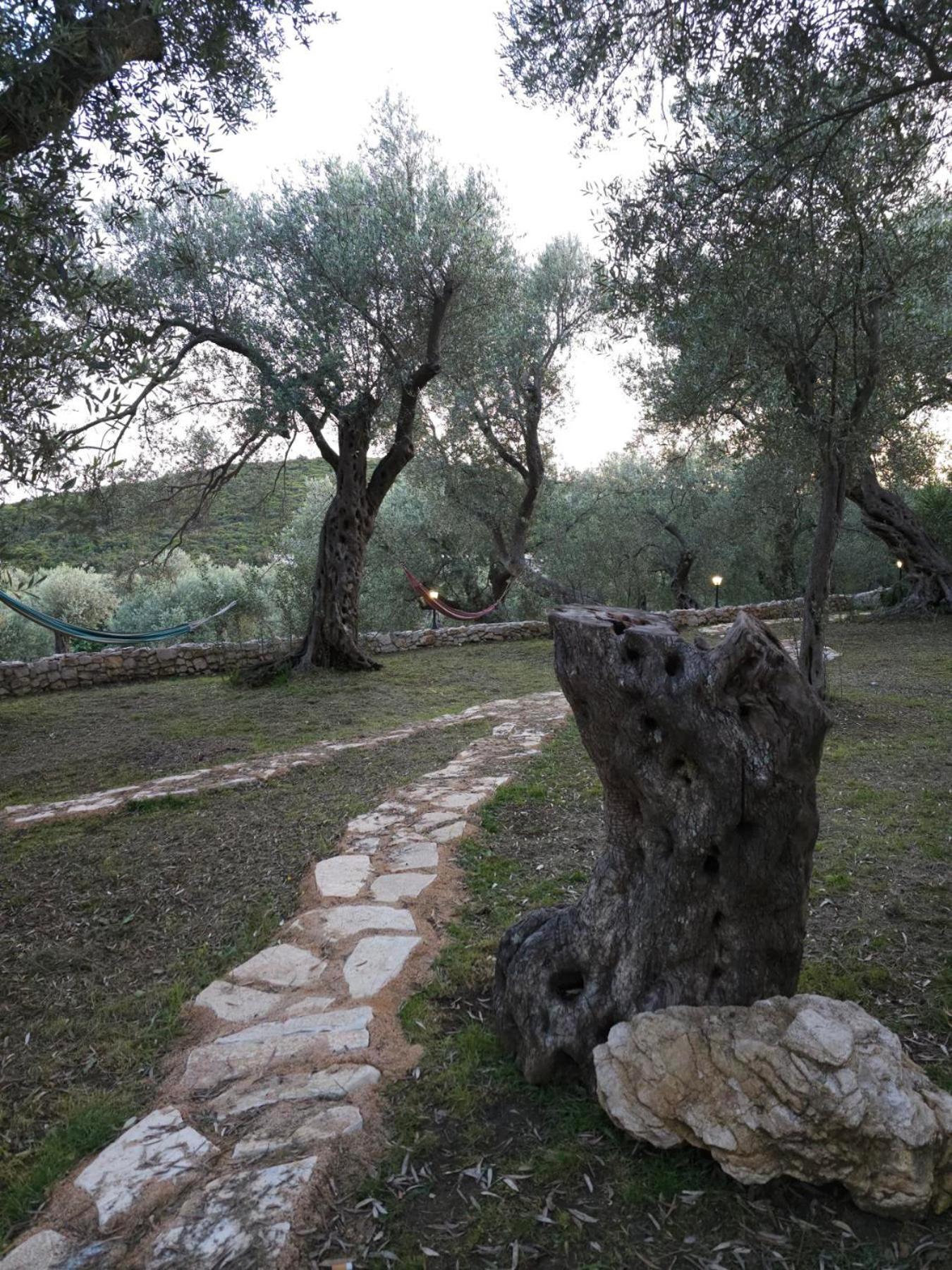 Olea Cottage 乌尔齐尼 外观 照片