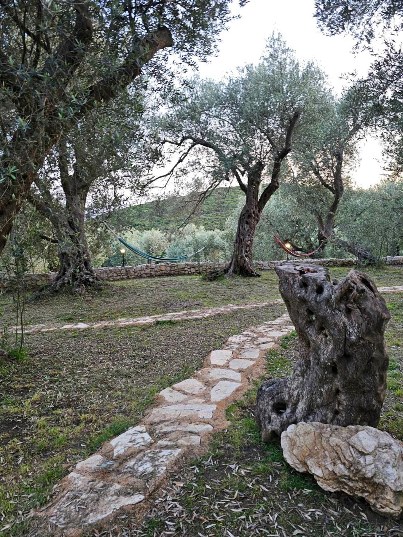 Olea Cottage 乌尔齐尼 外观 照片